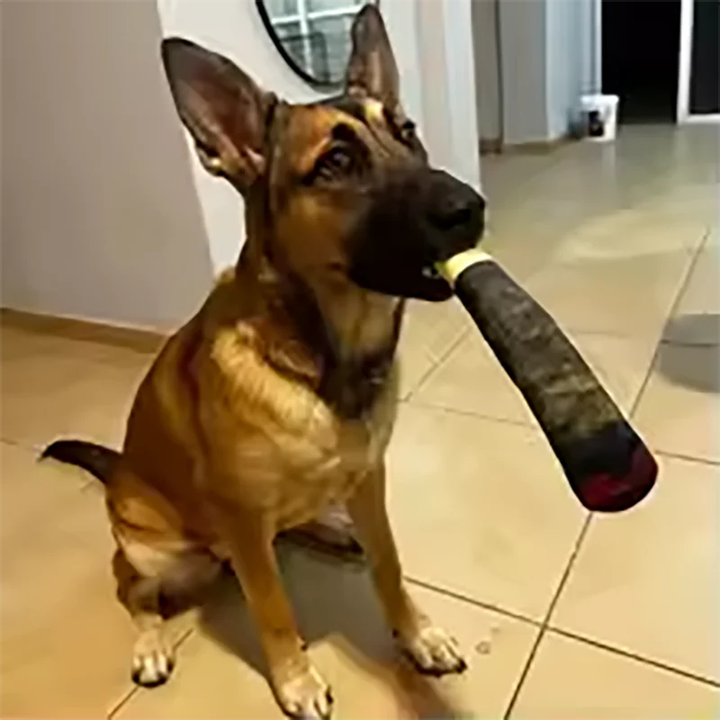 LoopViral