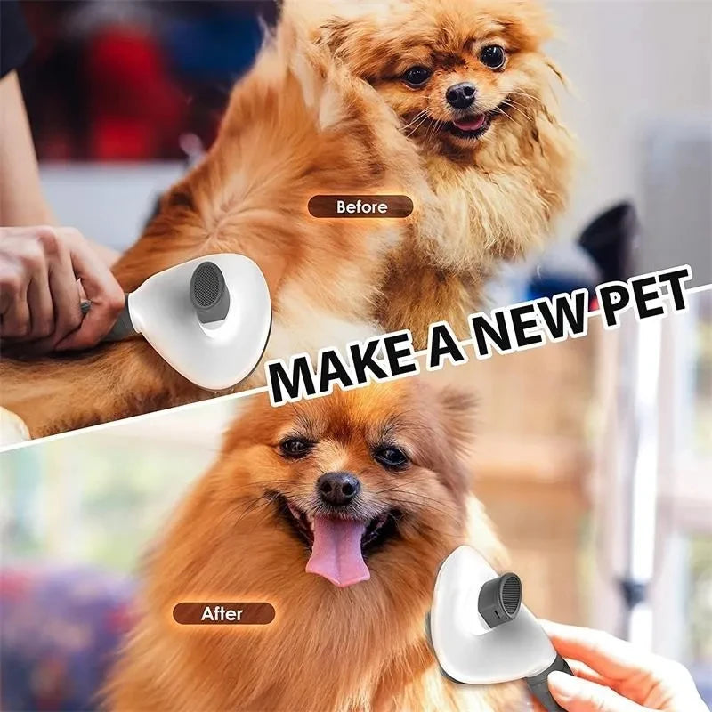 LoopViral